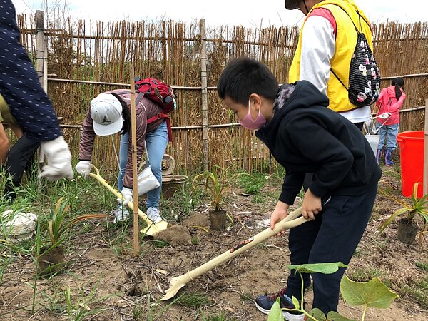 公私合作種植海岸造林樹苗，以實際行動守護台灣的海岸線。圖／新北市政府提供