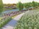 港南運河水質淨化　環境將再提升
