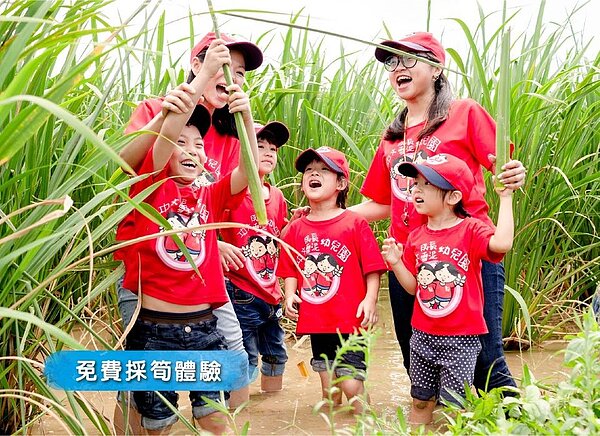 茭白筍的故鄉三芝成了民眾國旅必到的旅遊勝地之一。圖／新北市政府提供