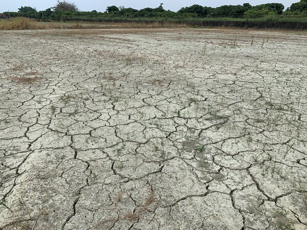台南水情嚴峻，汛期幾乎沒下雨，許多休耕農地乾旱龜裂。記者吳淑玲／攝影 