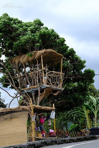 台東／長濱、成功1-1-5