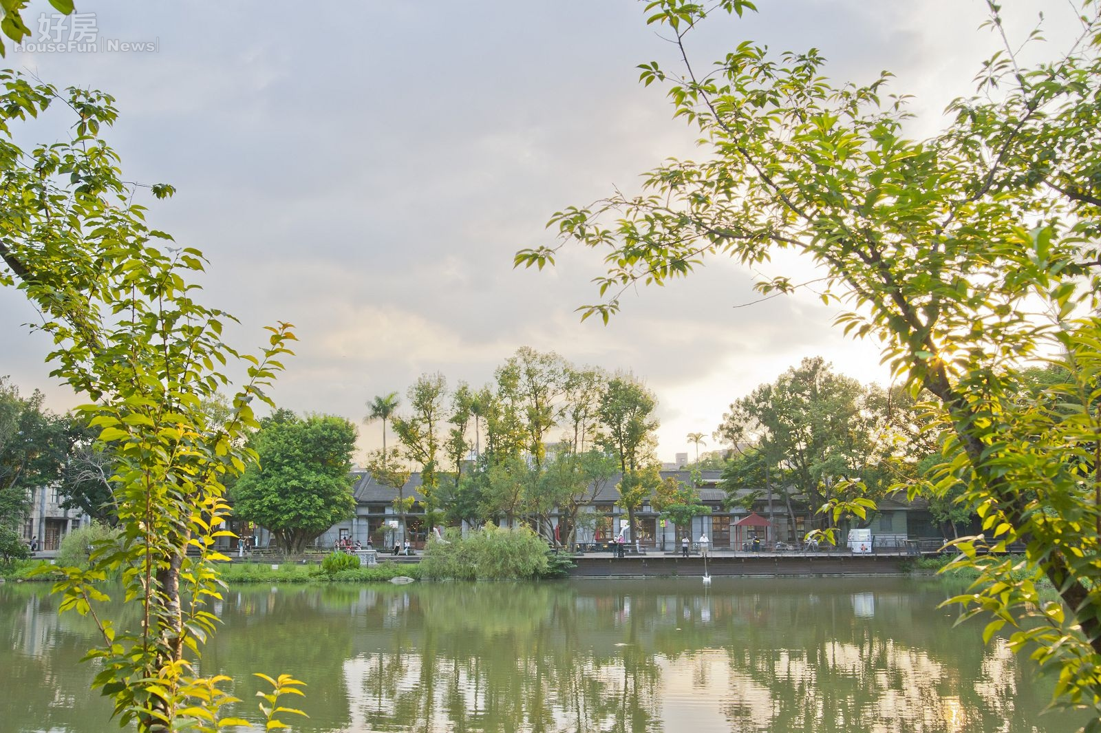 松山文創園區,生態池,公園宅,水岸宅,製菸工廠舊址,製菸工廠,日式建築,古建築,古厝,涼亭,咖啡廳,乘涼。(好房news記者 陳韋帆/攝影)