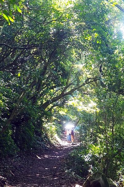 台北陽明山圖４－１－2