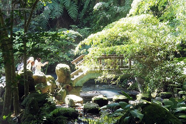 台北陽明山圖４－2－2