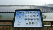 布袋新塭滯洪池布滿光電板　賞鳥季候鳥果遽減鳥友憂心