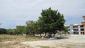 後龍國中占用民地　徐耀昌：盡快徵收