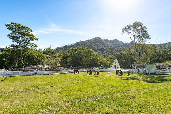 大溪康莊休閒農業區。圖／桃園市政府提供