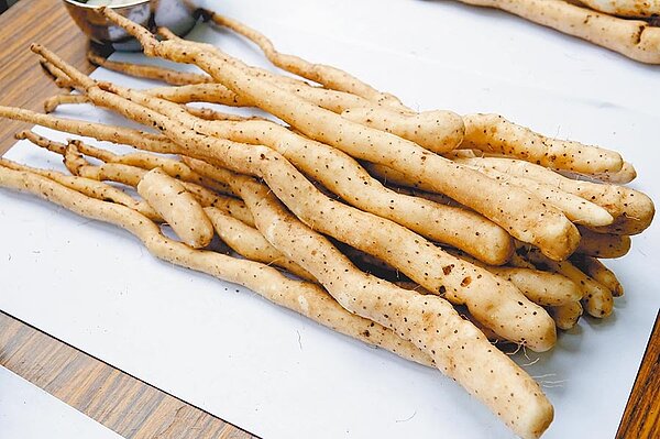 全台久旱不雨,新北市瑞芳、雙溪也因灌溉水源不足,今年山藥產量較往年減少2成多。(新北市農業局提供/許哲瑗新北傳真)