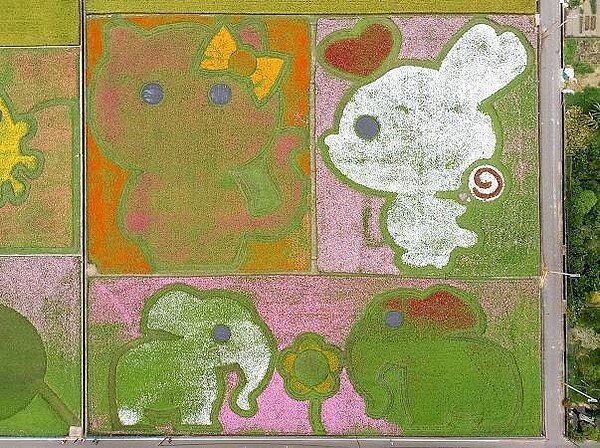 動物樂園是3大主題之一。圖/大溪區公所提供