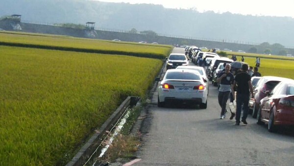 台中外埔忘憂谷的稻浪成拍照熱門點，假日人車多，田間小路會車不易。圖／台中市鄉村永續生活發展協會提供