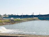 力甩蚊子港　遊艇碼頭BOT有譜