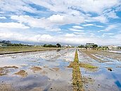 高鐵要來了　宜蘭地價衝起來