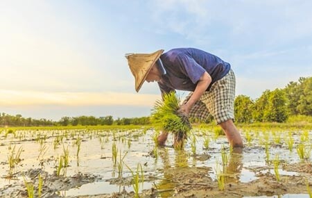 今年是台灣56年來最嚴峻旱災，多座水庫蓄水率不足5成。圖／中時資料照