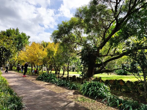 花卉試驗中心的楓樹與銀杏開始換裝囉！圖／台北市政府提供