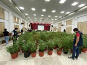 屏東警聯合攻破毒品製造場　查獲524株市值上億大麻