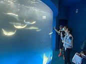 因應Xpark開幕人潮　鄭文燦：增停車位