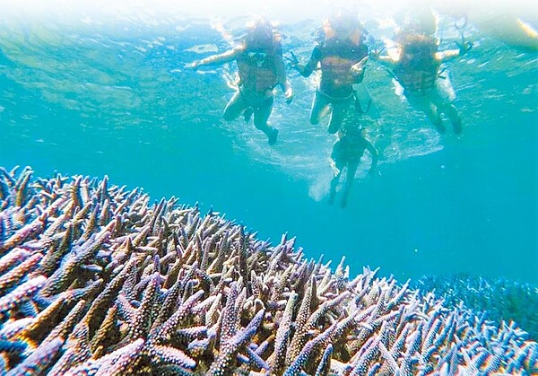 澎湖南方四島國家公園海底珍貴珊瑚礁生態慘遭破壞。（民眾提供／陳可文澎湖傳真）