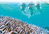 澎縣府設15處繫纜　保護珊瑚礁