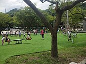 大片人工草皮引發靜電？公園新設施兒童被「電」哇哇叫