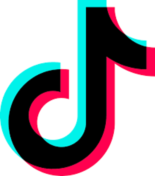 TikTok。圖／取自維基百科