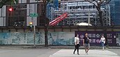 高市T字路口號誌改行人先行　事故減2成
