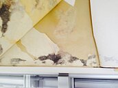 驗屋因「這原因」查不到漏水　網曝合約不要隨便簽