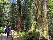 高溫炎熱　彭啟明：周末轉偏西南風、雷陣雨持續