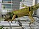危害生態！飼養綠鬣蜥9月1日起須登記　違者可重罰6萬元