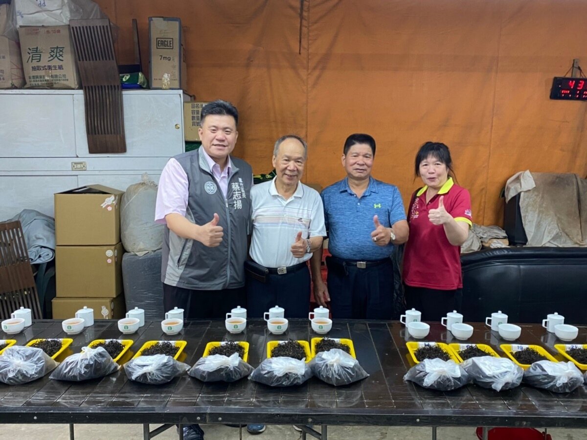 蘆峰紅茶製茶體驗活動 與民共同體驗製茶樂趣