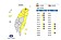 北北基11縣市高溫特報　高屏小心雷擊、強陣雨
