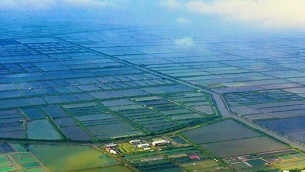 台鹽宣布啟動高雄永安漁電共生計畫,預計建置60公頃專區。圖/台鹽提供