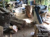 山老鼠盜砍桃宜花林地　桃園警取回400萬珍貴木頭