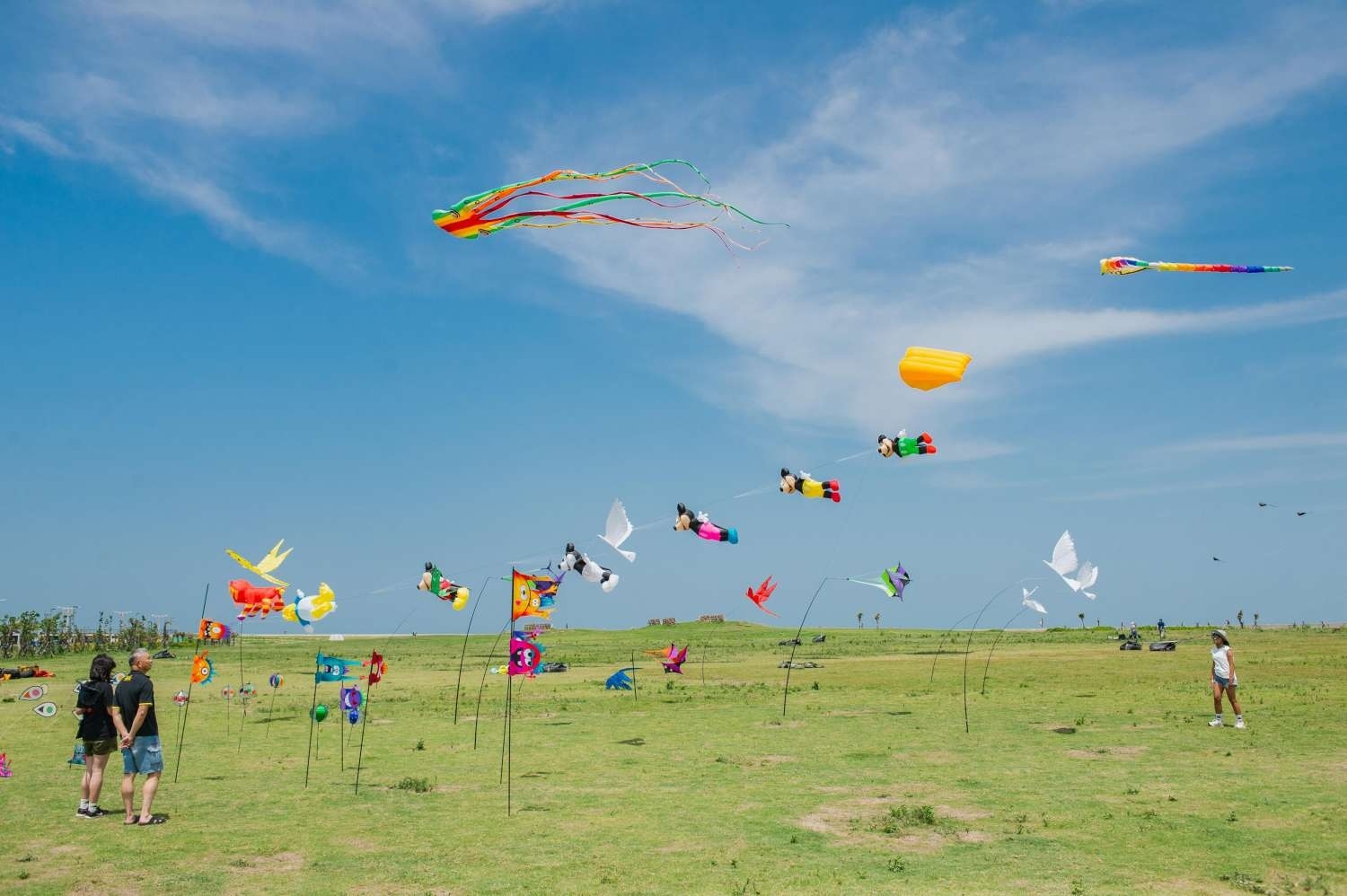 2020新竹市國際風箏節周末登場，16米飛龍、夜光風箏、特技劇場秀綻放漁港天空。圖／新竹市政府提供