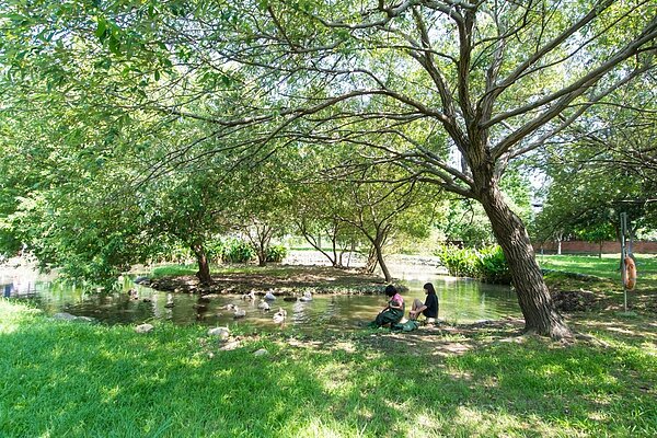 八德區霄裡生態池增設環池步道。圖/桃園市府提供