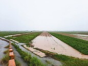 雨襲南台　道路封閉　雷擊停電