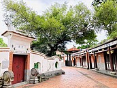 遊樂園變身圓山自然公園 　喚起兒時美好記憶