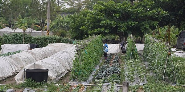 橋頭科學園區範疇界定完成,其中的中崎有機農場可保留至2023年租約到期。圖/本報資料照片