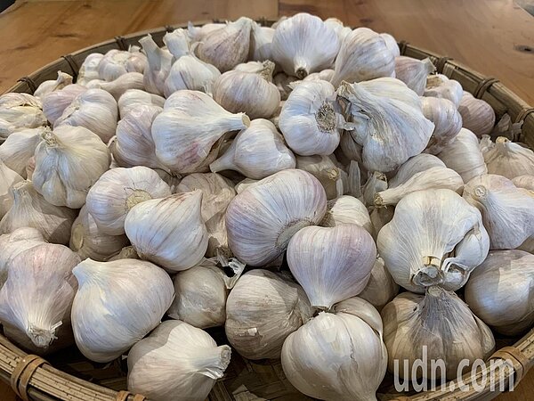 蒜頭從今年7月中開始周周漲，漲了近3倍價。記者陳苡葳／攝影 