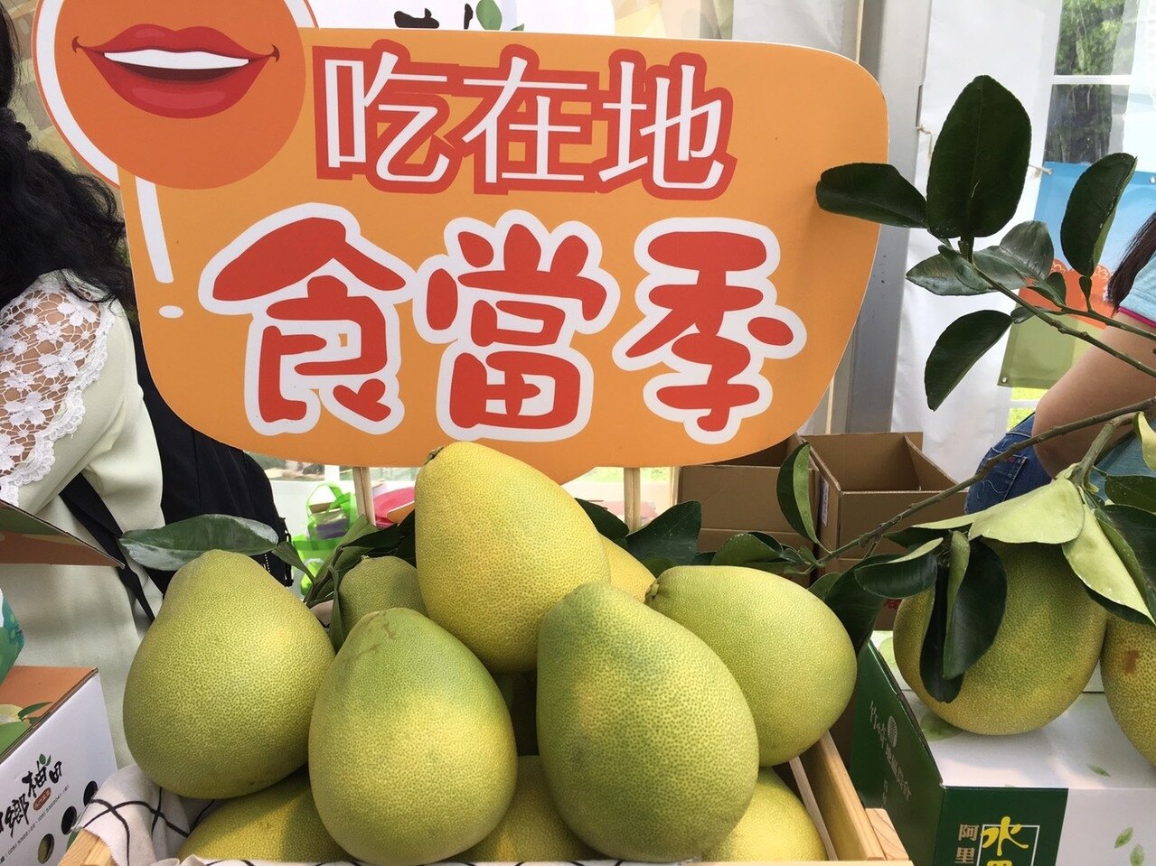 農委會今天公布柚香禮券。記者吳姿賢／攝影