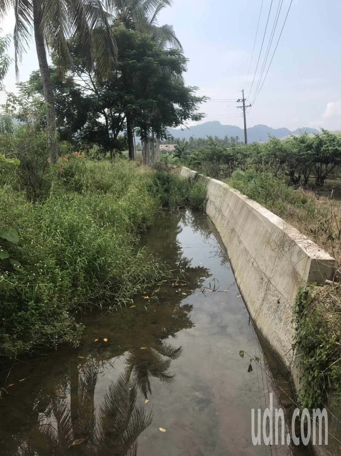 大雨過後，高雄旗山大林爐渣掩埋地又出現大量乳白色滲流水流經鄰近農地，地下水遭汙染的疑慮又起。圖／自救會提供