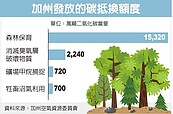 森林保育抵換碳排　成了大生意