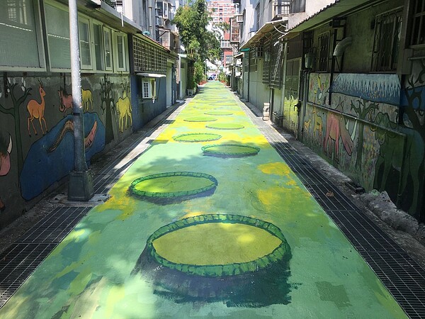 文山區忠順里的「大王蓮巷」。圖/台北市衛工處提供