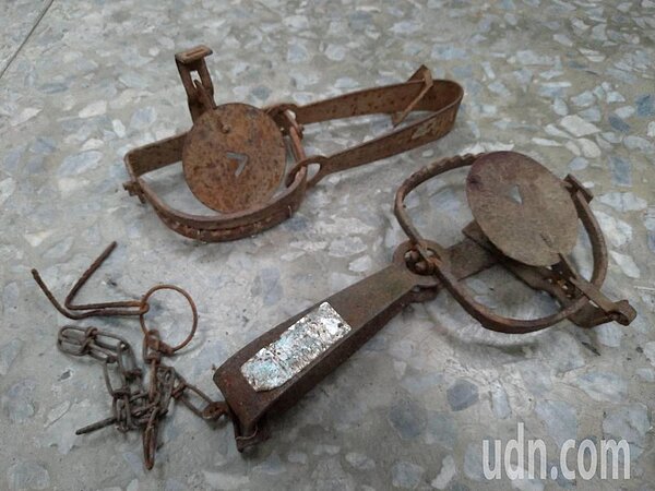 流浪貓犬近日常傳捕獸夾夾傷動物事件,高雄市動保處推出送交拾獲的獸夾可換禮物或禮券。圖/ 高雄市動保處提供