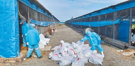 彰化縣是家禽畜飼養大縣，縣內死廢禽畜數量更居全國首位，，但至今仍無化製廠。