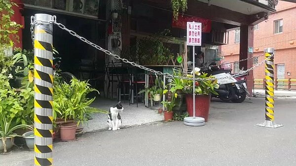 十分老街租金糾紛,四分之一店家門口鎖鐵鍊遊客指誇張。記者游明煌/翻攝