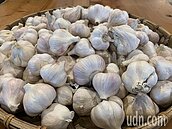 國產、進口都少　蒜價短期難回穩
