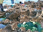 墾丁岸釣　擬改採付費制