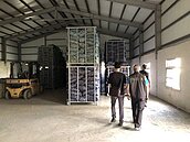 蒜頭囤積被調查站稽查？林姓蒜商無奈：囤積是無稽之談