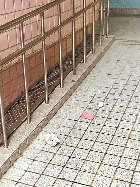 日前發生地震，北市有24所學校出現55處災損，市府耐震評估與補強成效遭質疑。圖為金華國小在地震後有磁磚剝落。（台北市議員王欣儀研究室提供／張立勳台北傳真）