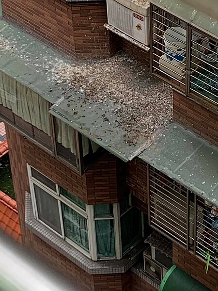 新北市議員李倩萍近期陸續接到民眾反映鳥類群聚在民宅屋簷或雨遮的情形,清了又來,不論住戶、管委會都是受害者。圖/李倩萍團隊提供